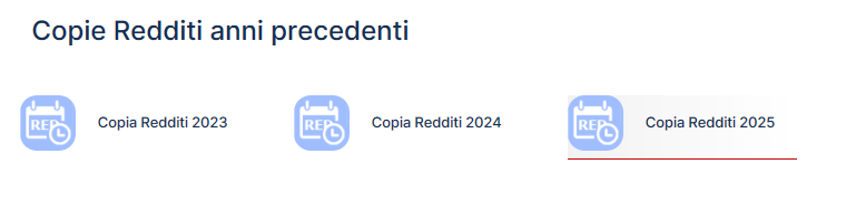 copia redditi 2025